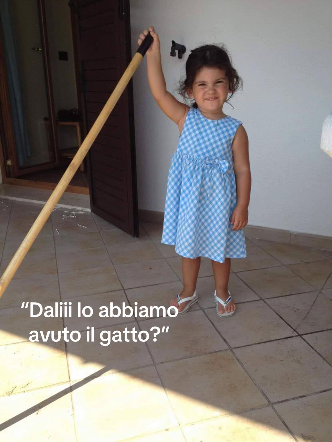 @_dali.spamm_