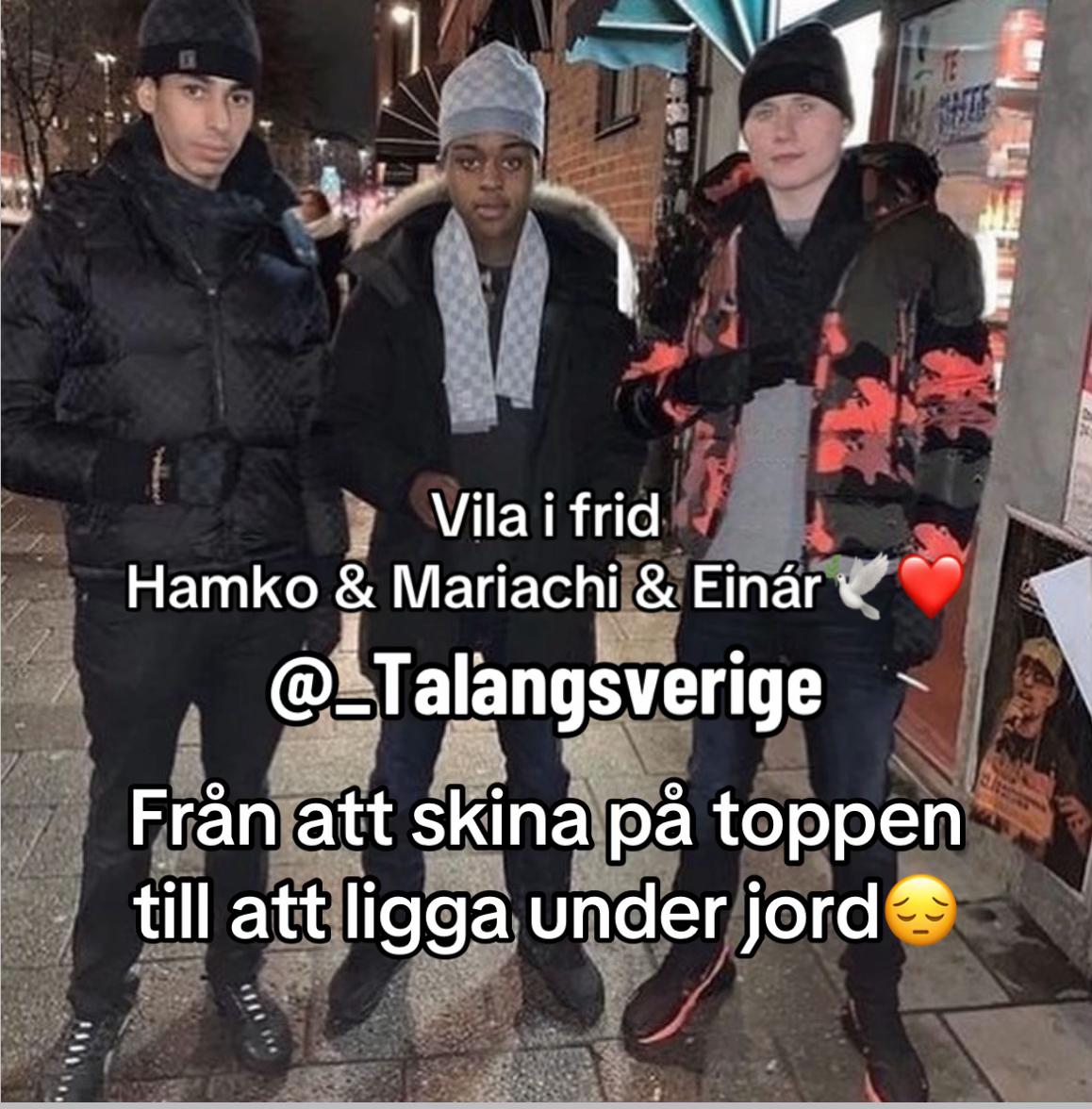 @_talangsverige1