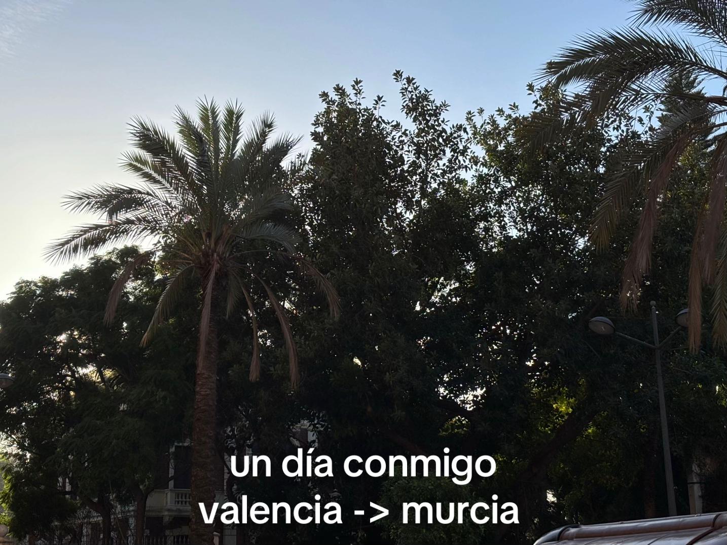 @pau💐