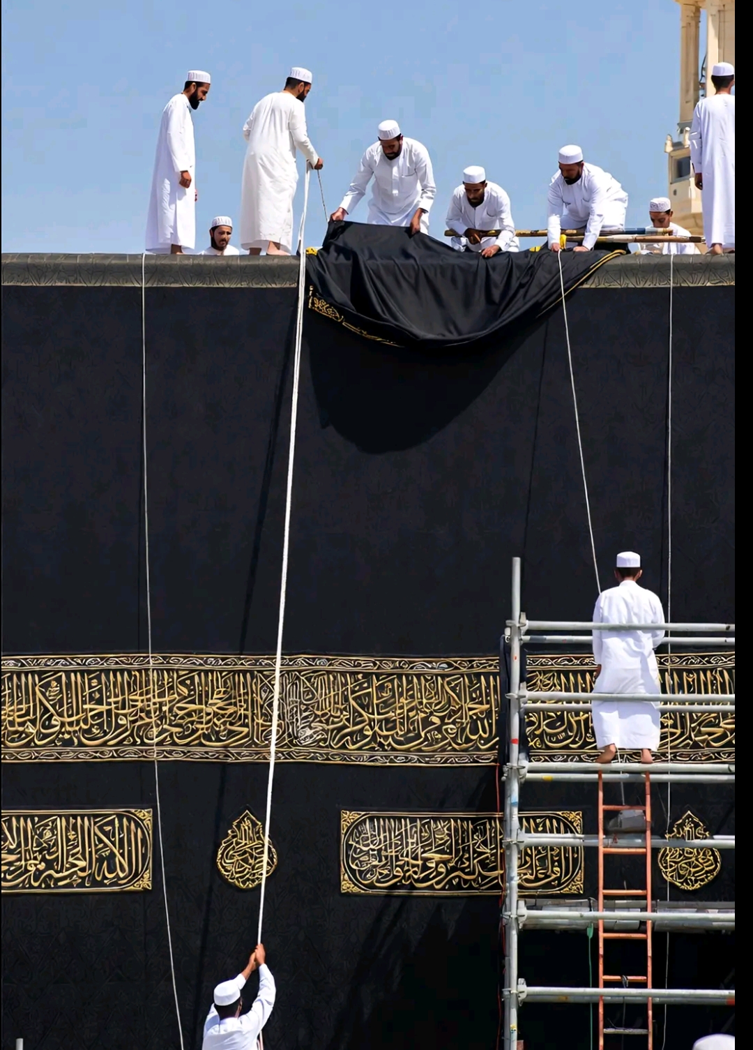 @kashif007
