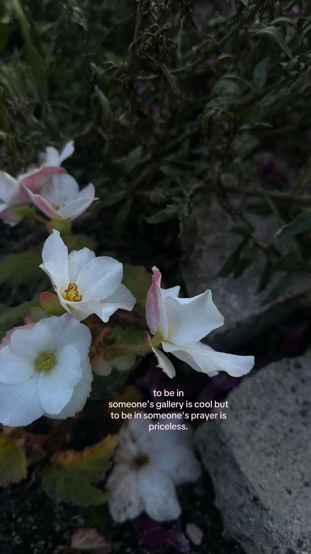 @سينا’🌸