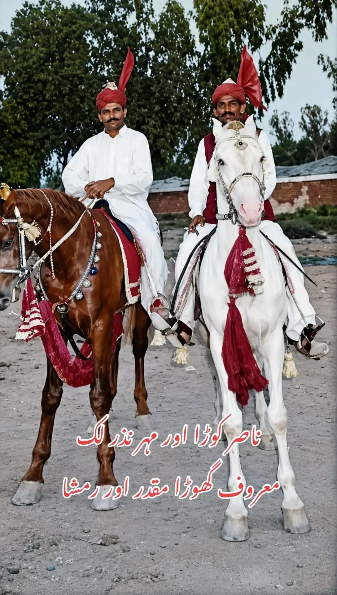 @مہر عامر سہیل لک🐎🏆🥂