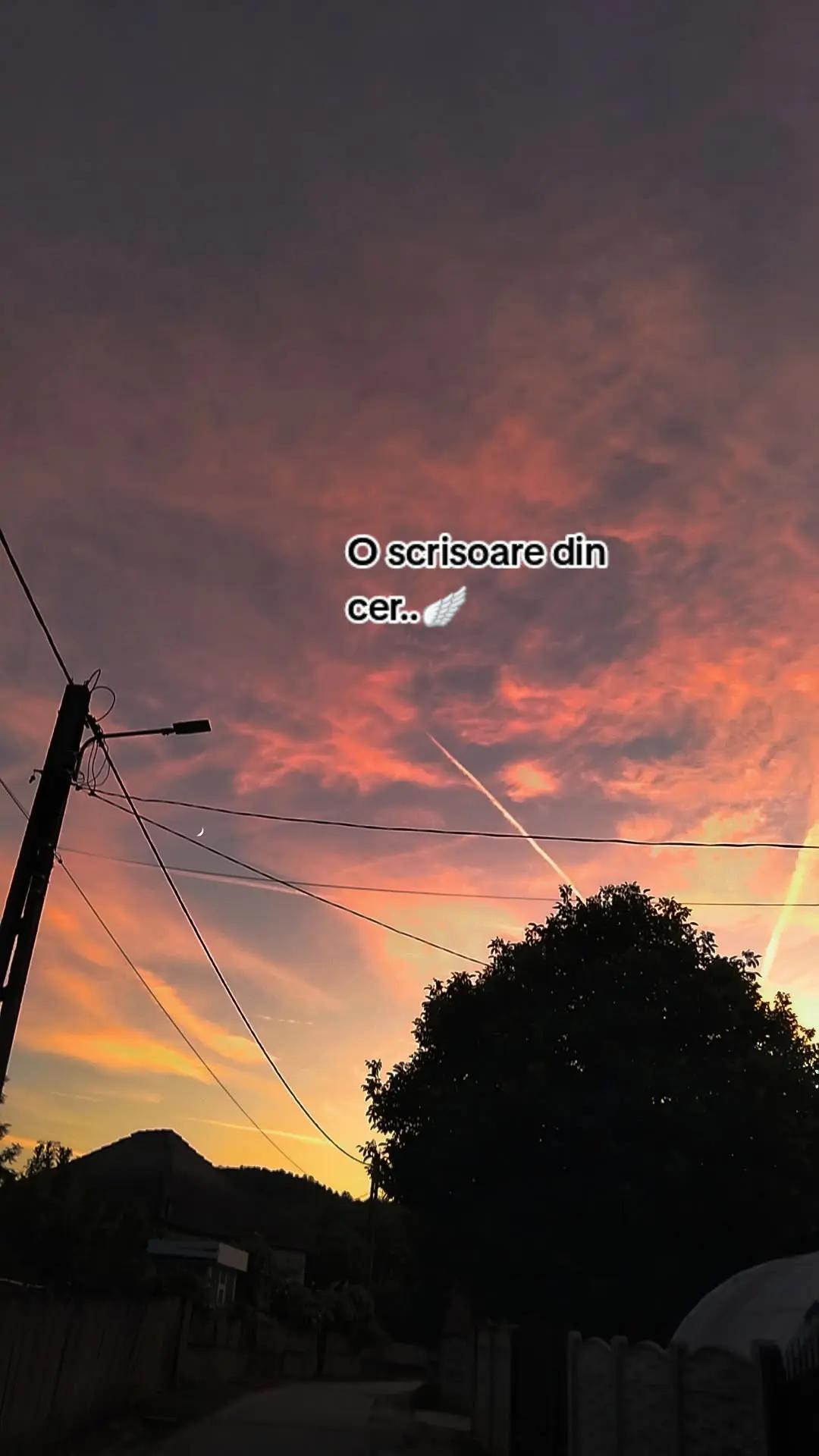 @𝓬𝓻𝓲𝓼𝓾🫧