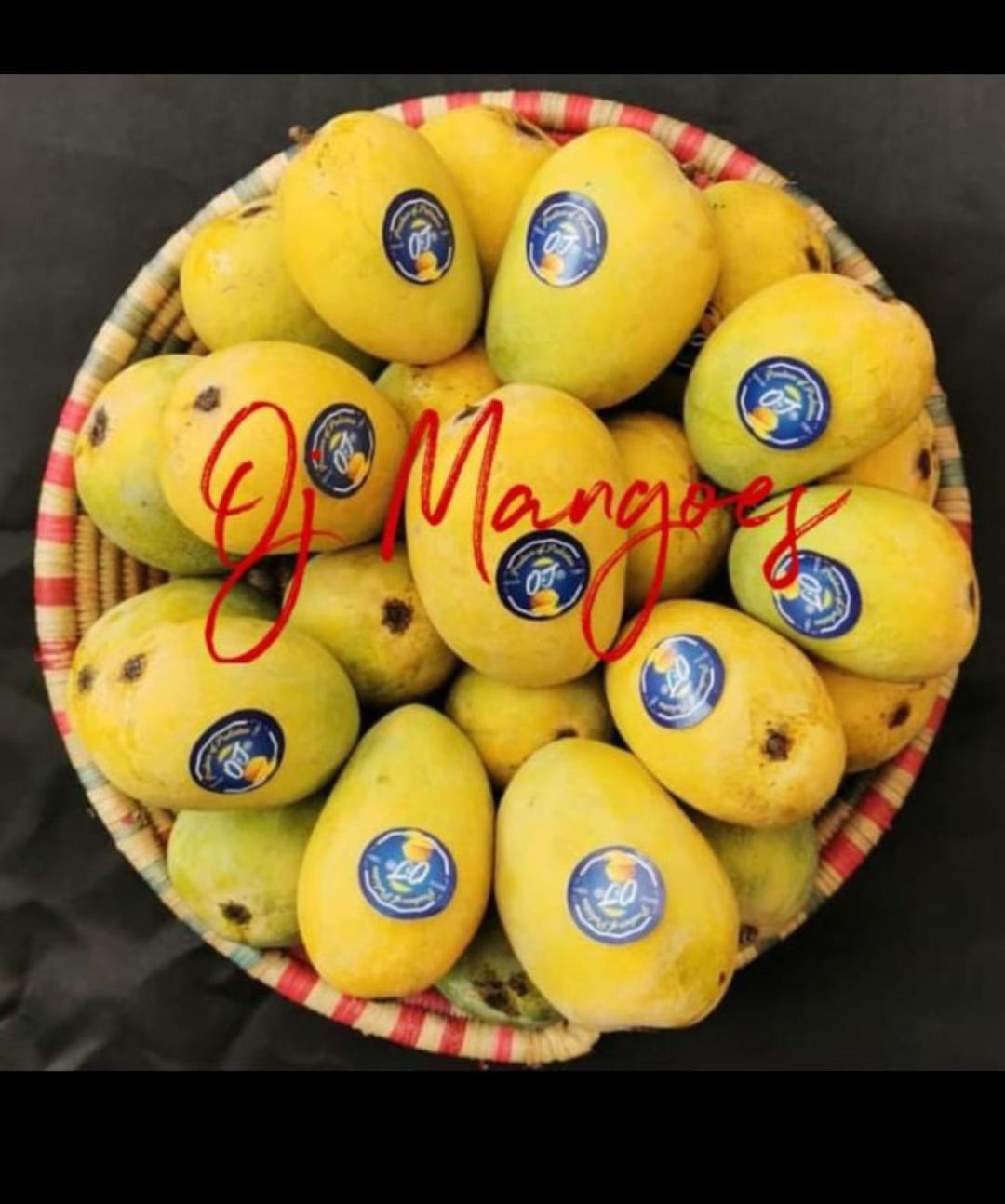 @Mango Man🥭