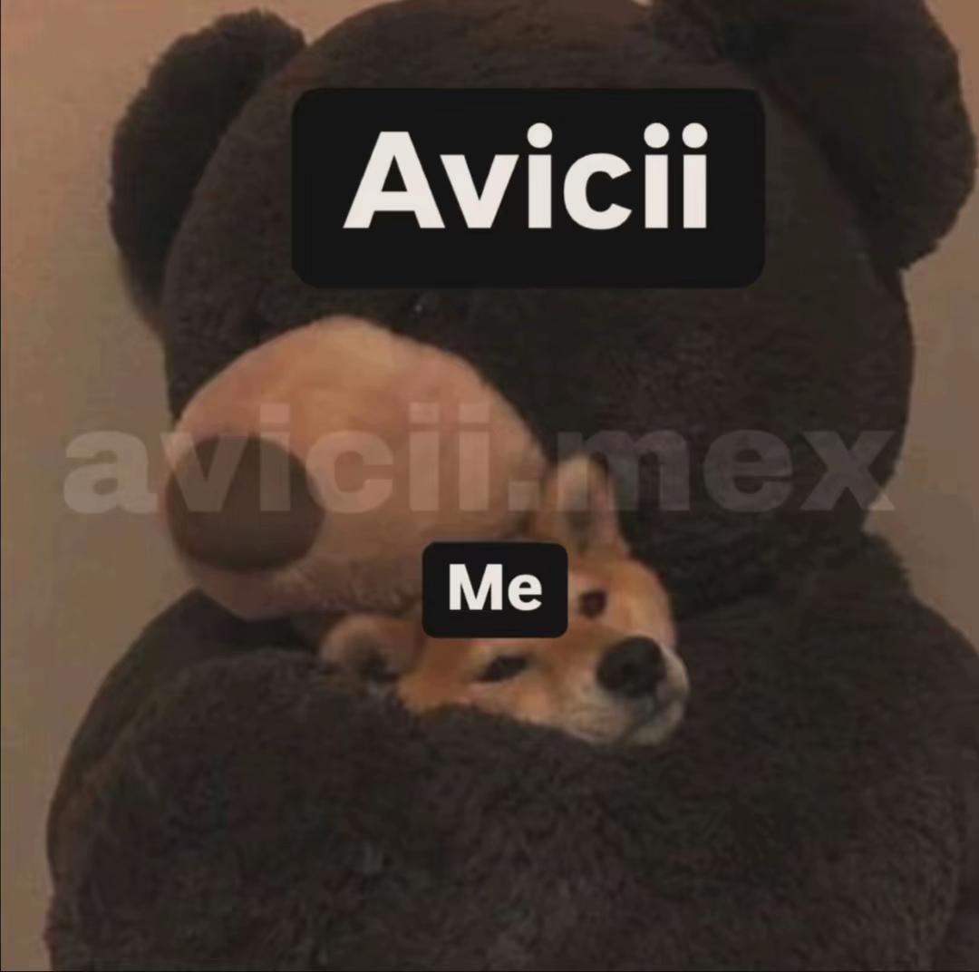 @avicii fan