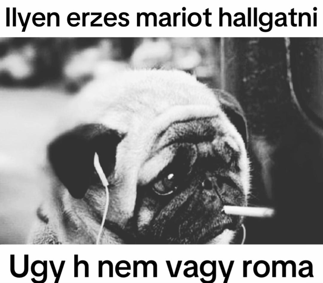 @fingkatona