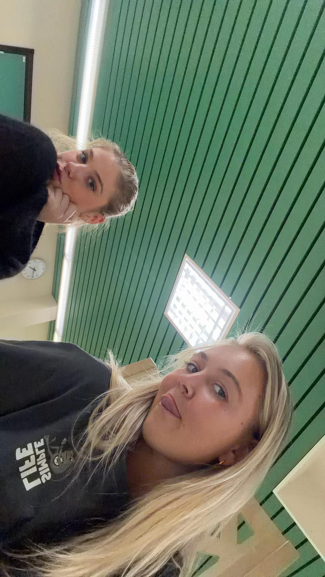@elsaebbahemliga