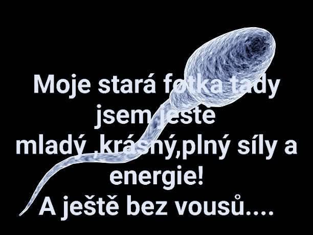 @Brč&aacute;l