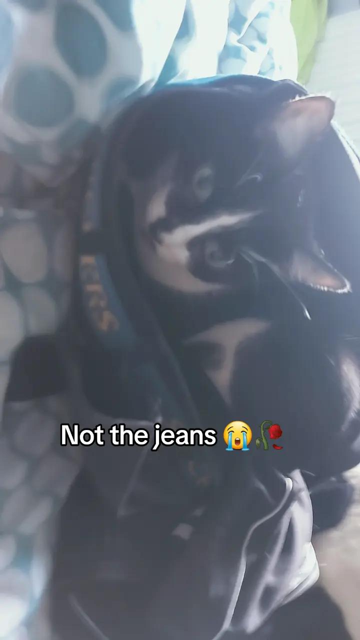 @JJ