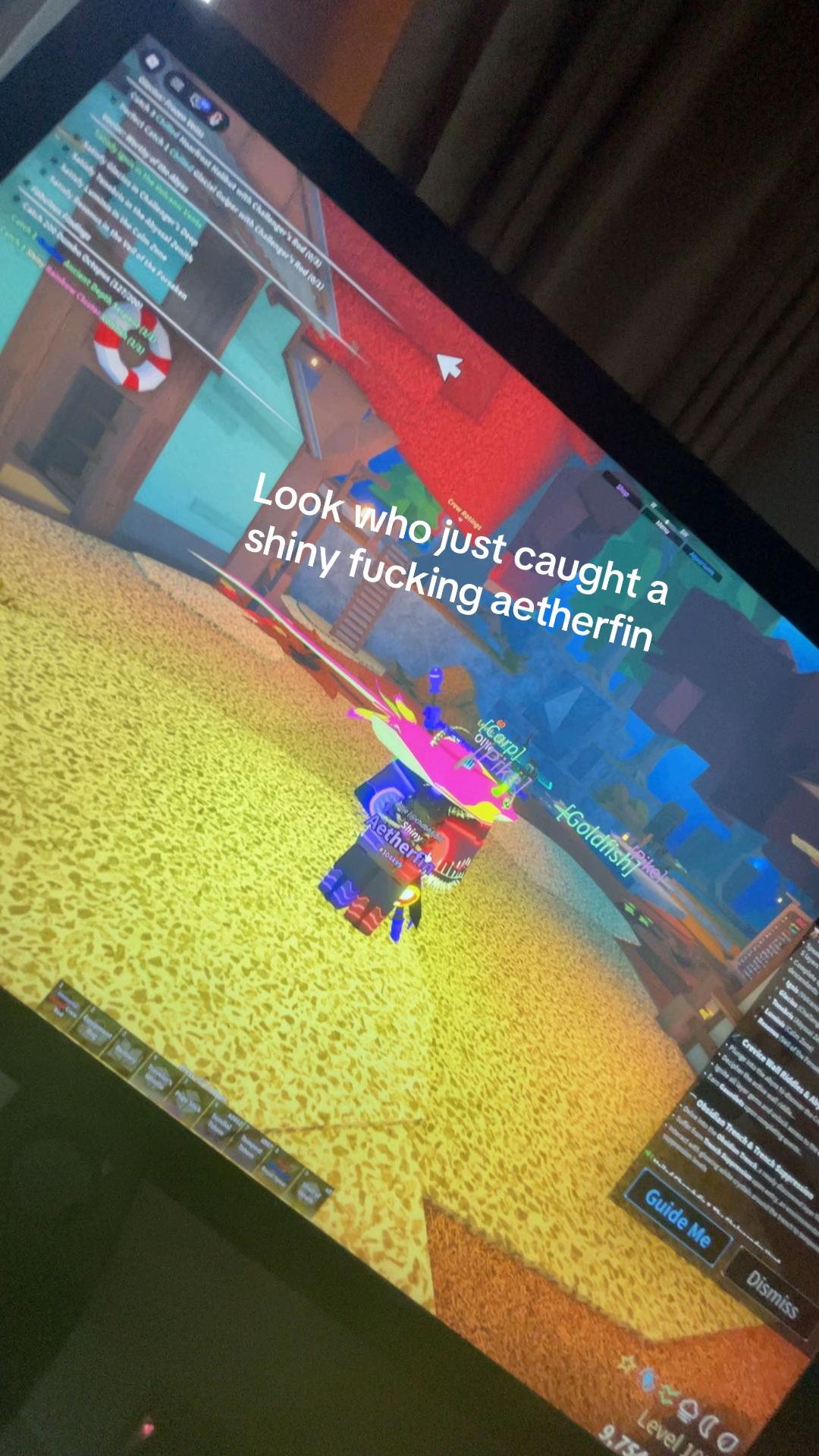 @TheWarKitty