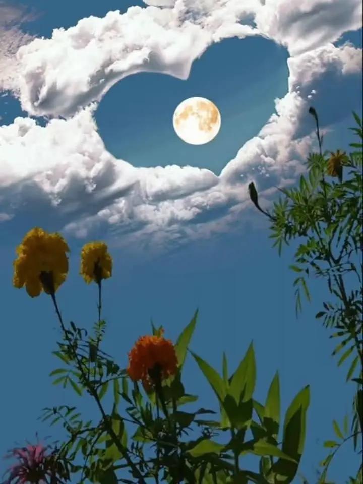 @🇦🇫شعر و موسیقی