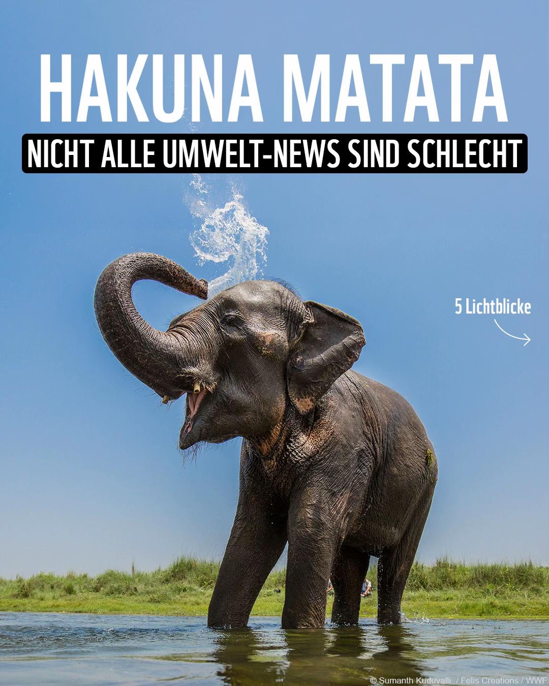 @WWF Schweiz