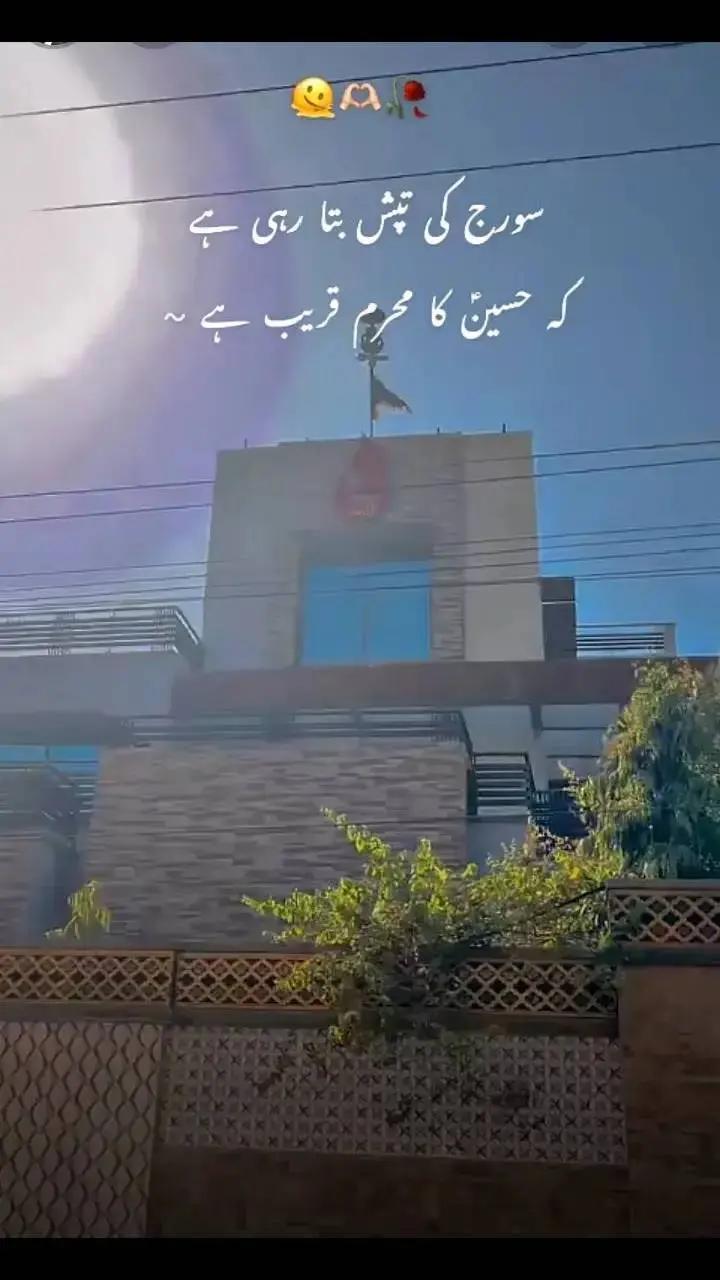 @asif bhatti487