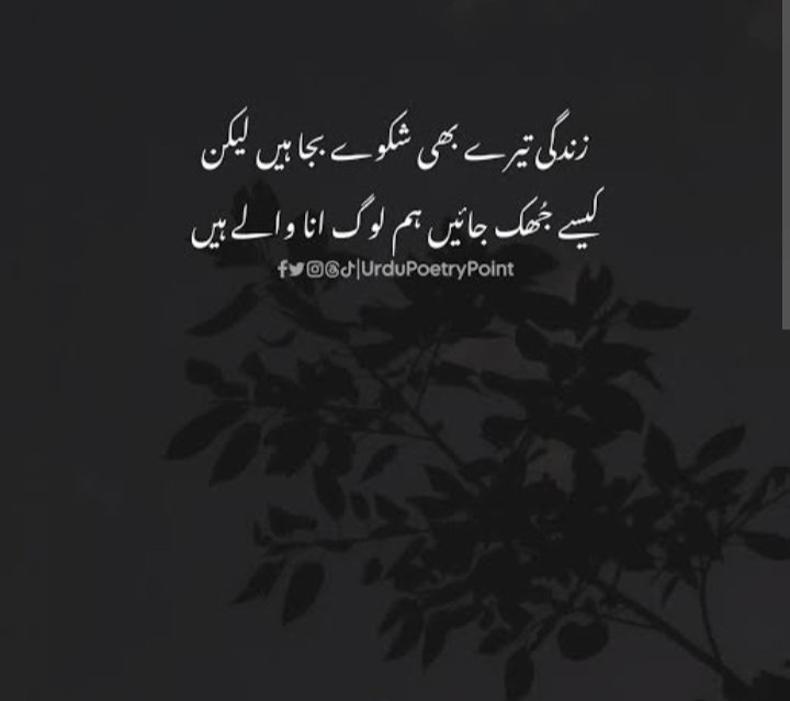 @⚘️ بجلی ☘️