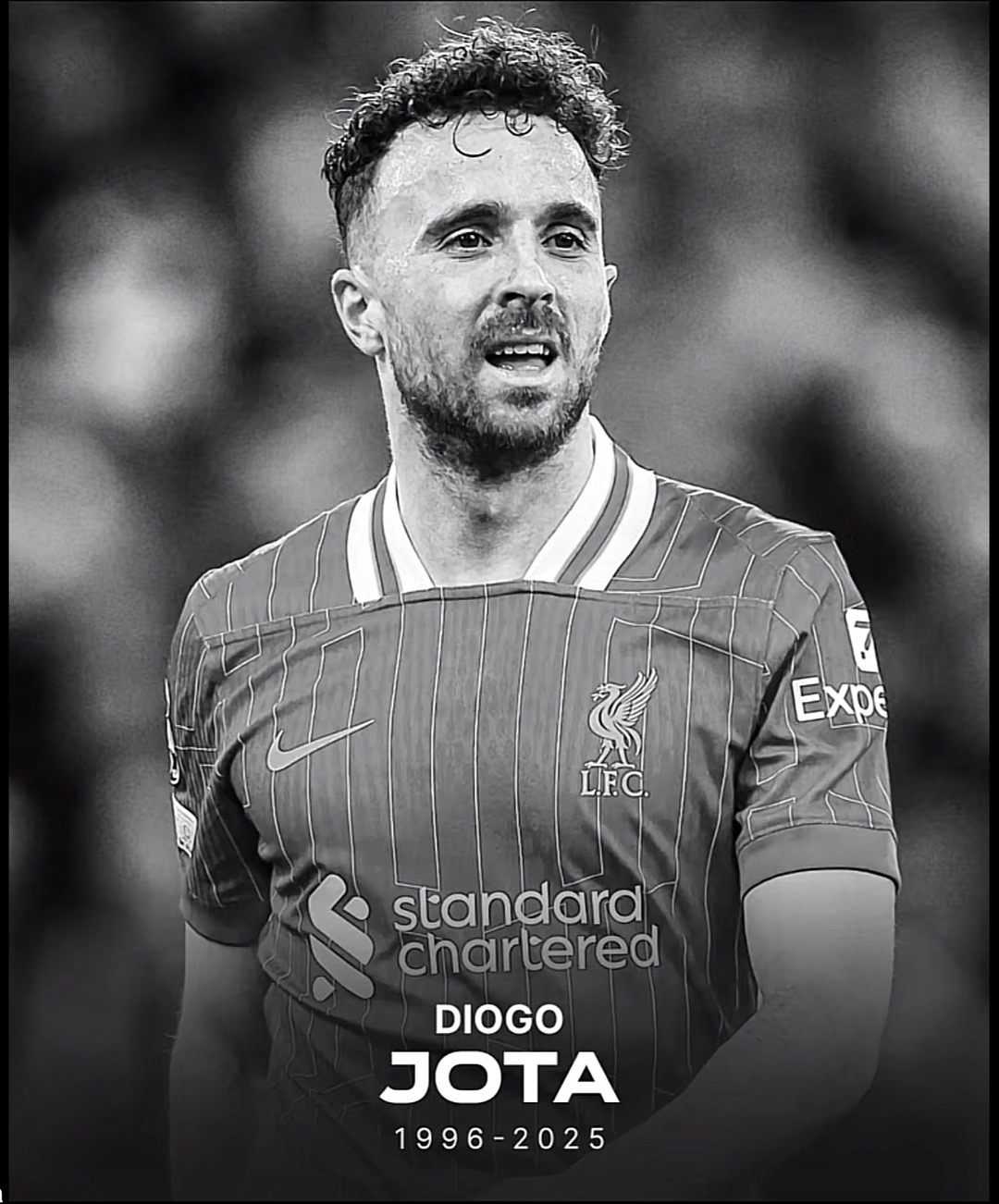 @LFC for life