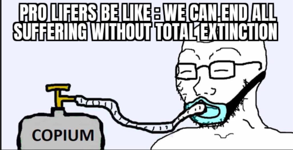 @user362690628