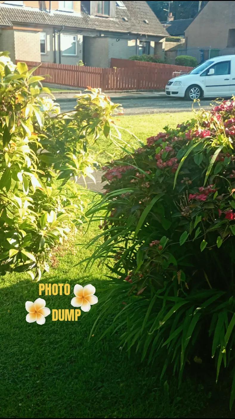 @𝑱𝑼𝑳𝑰𝑨 🌴🌺