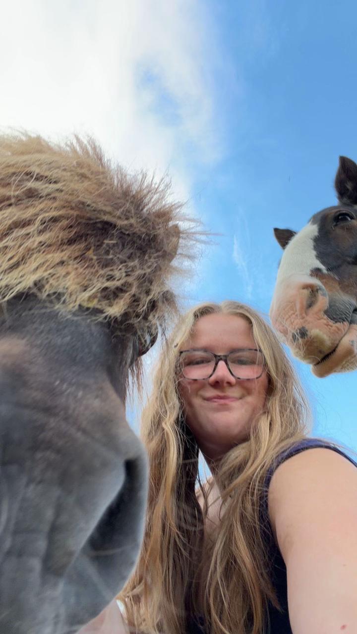 @Ernie 🐴