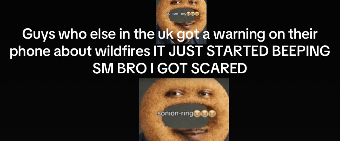 @isla