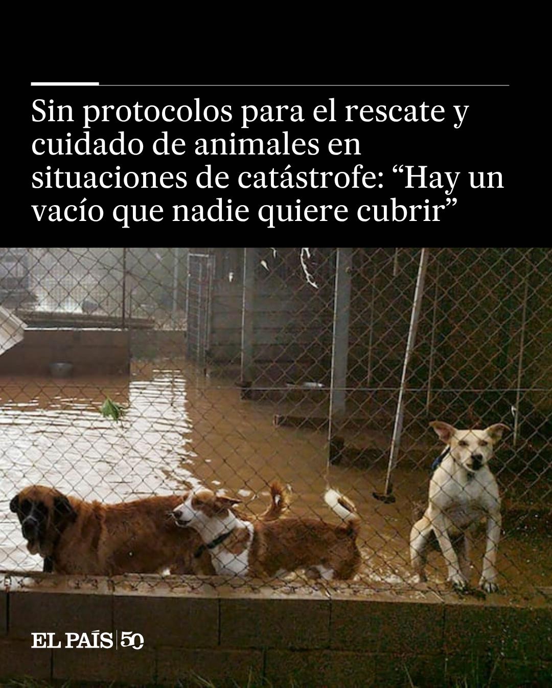 @El Pa&iacute;s