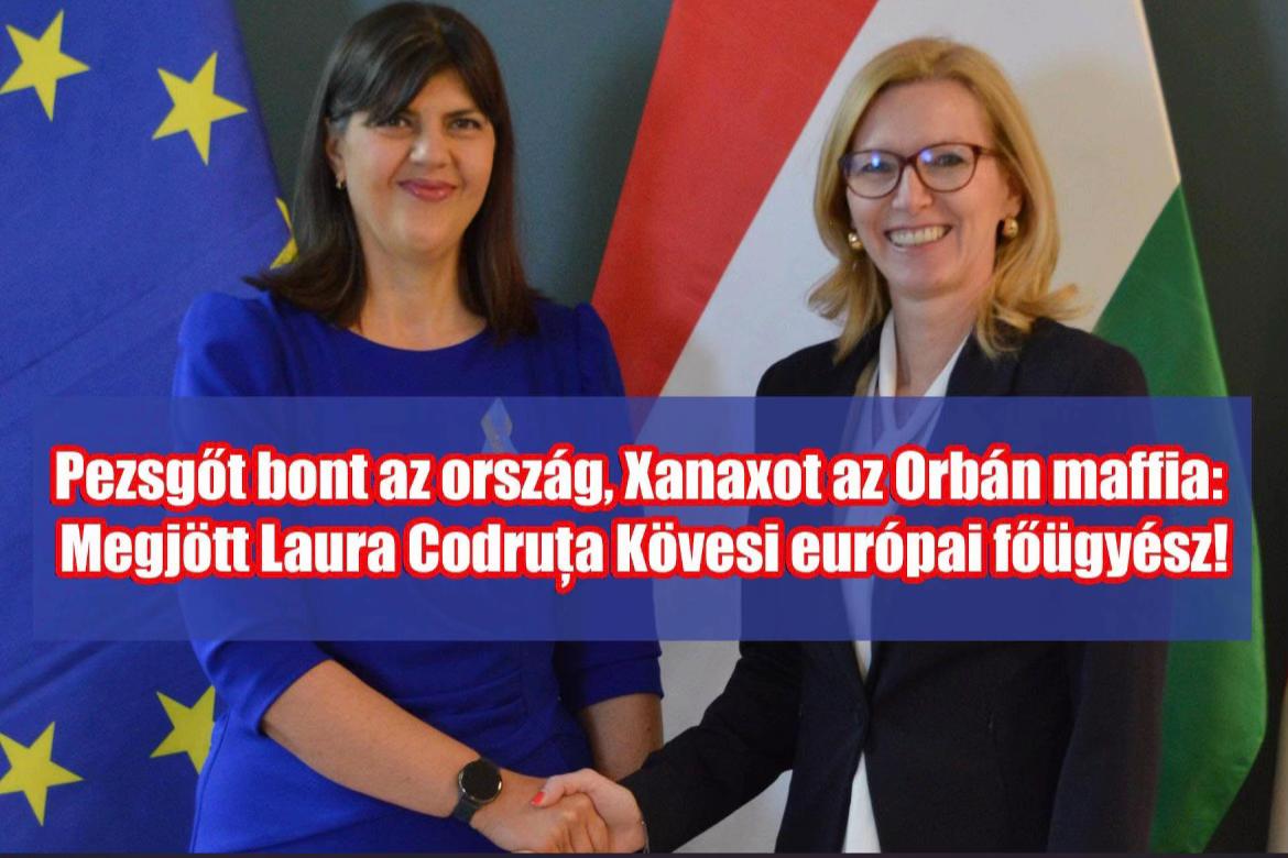 @ddiana🇭🇺politika