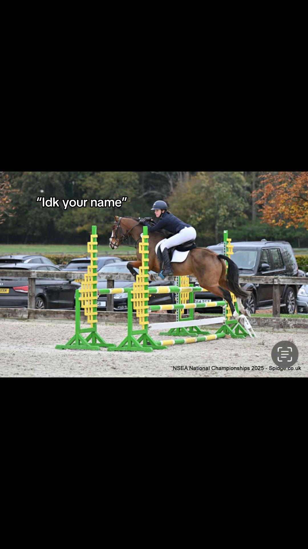 @amelia_showjumping2