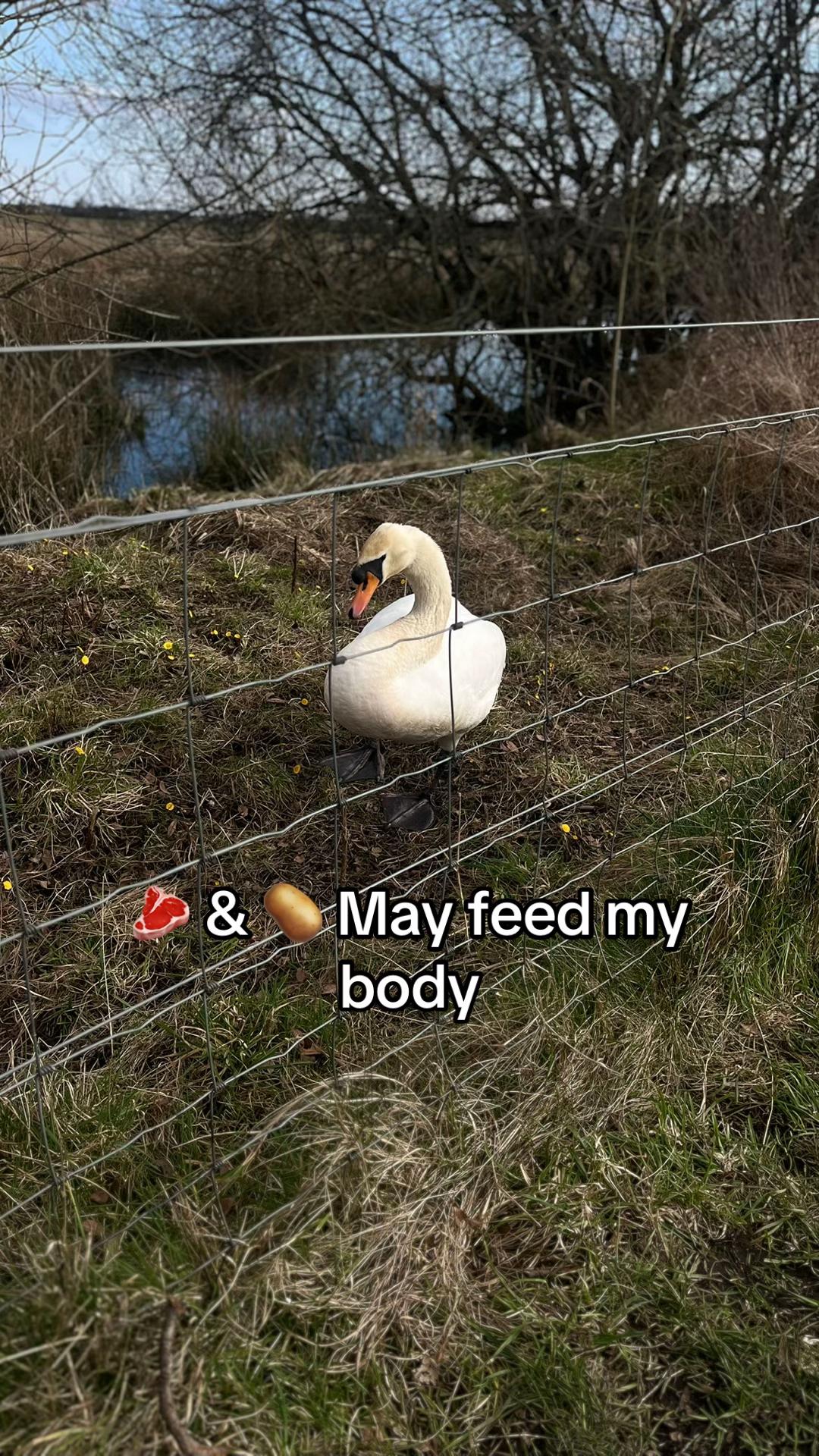 @🪐