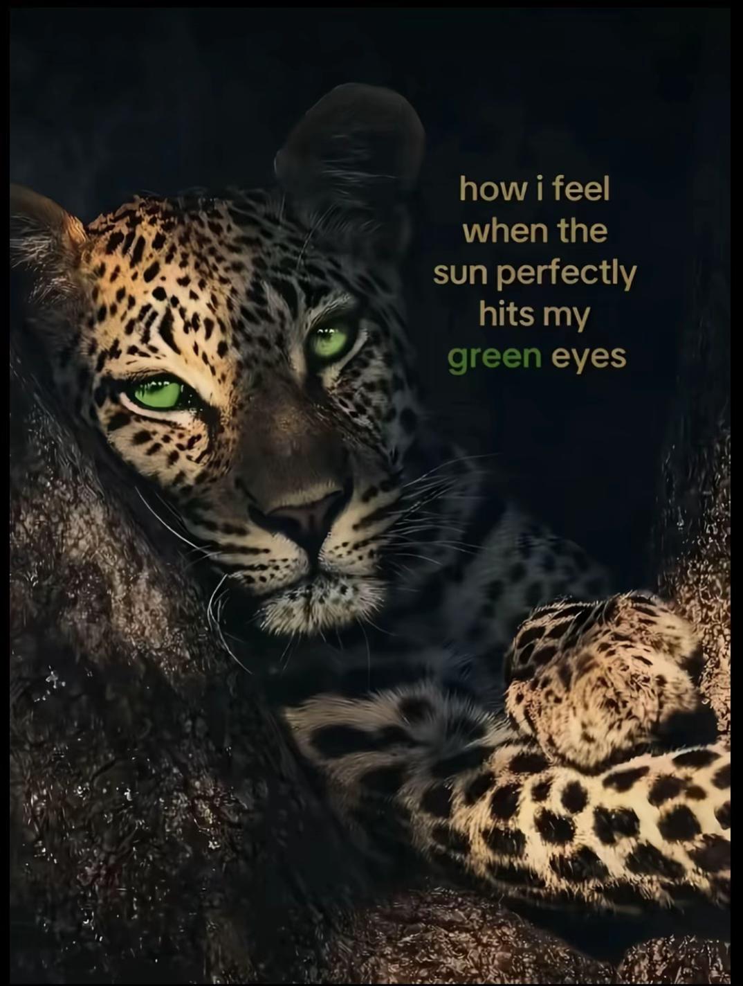 @Diana👩🏻🦰