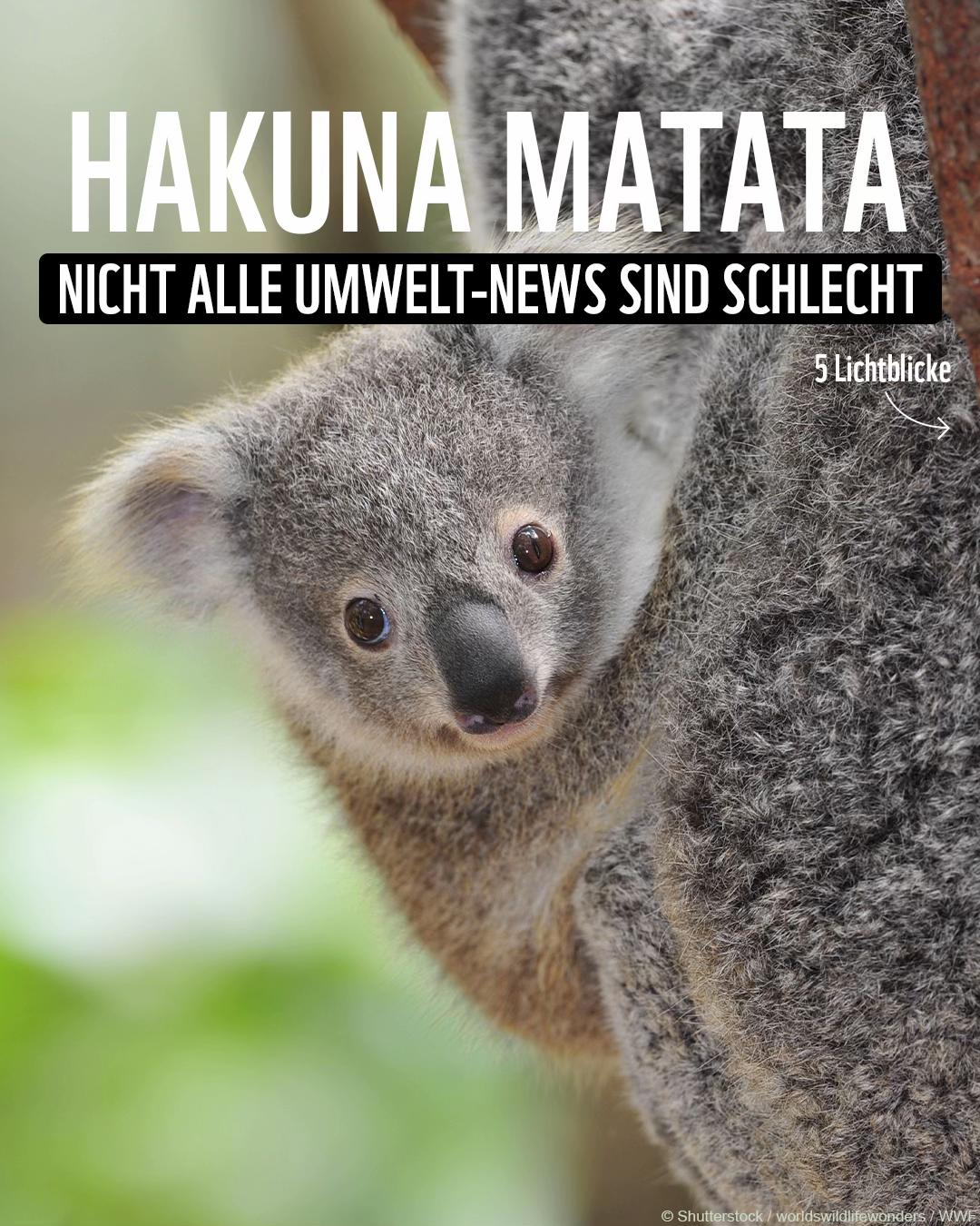 @WWF Schweiz