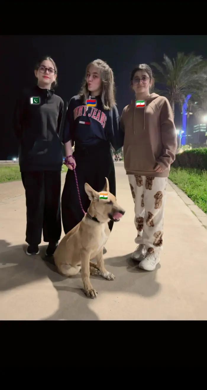 @🇦🇲ANIL_SHARAIT_🇺🇸