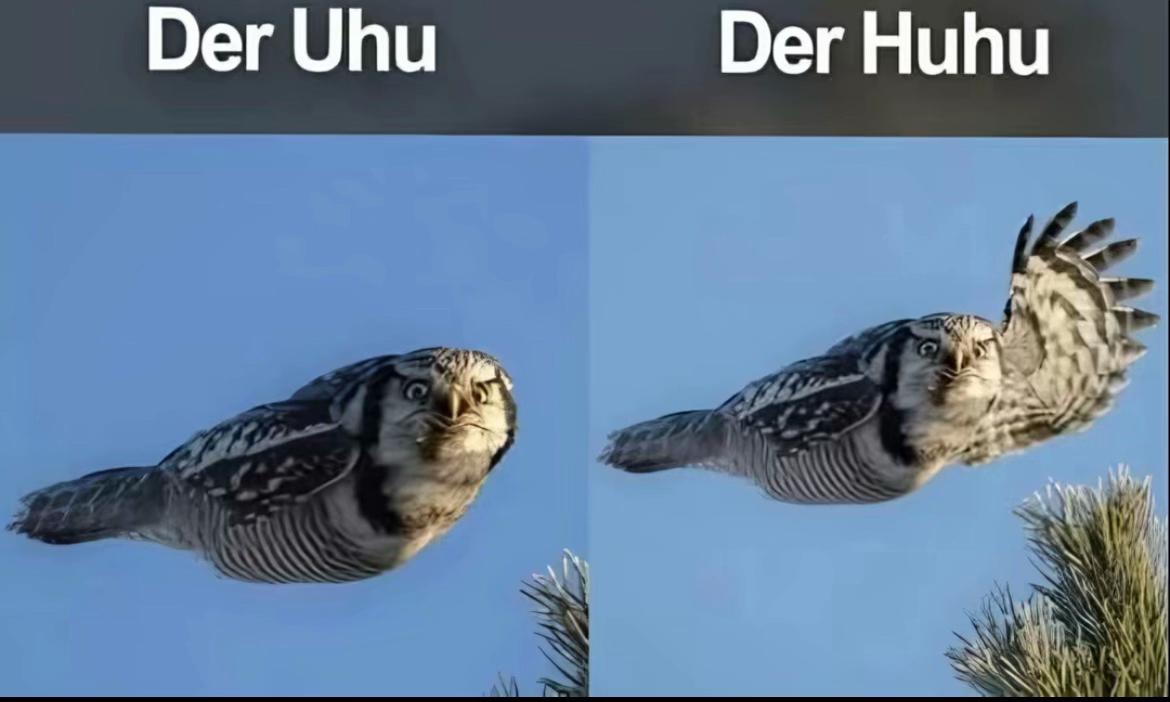@flens