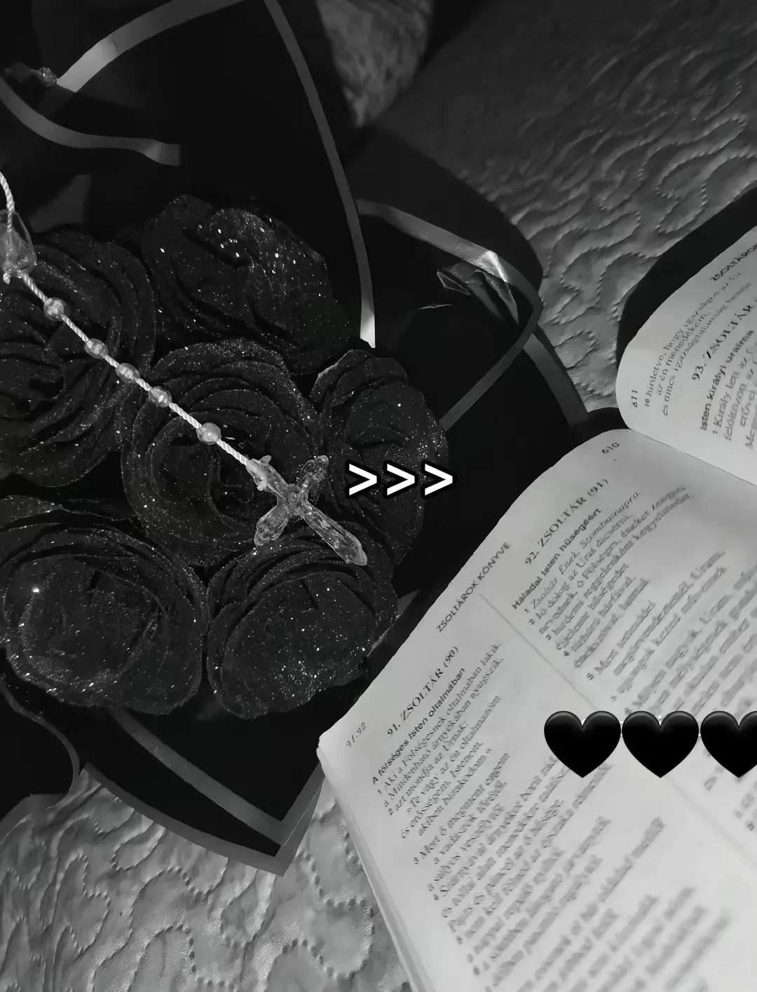 @Abig&egrave;l❤❤