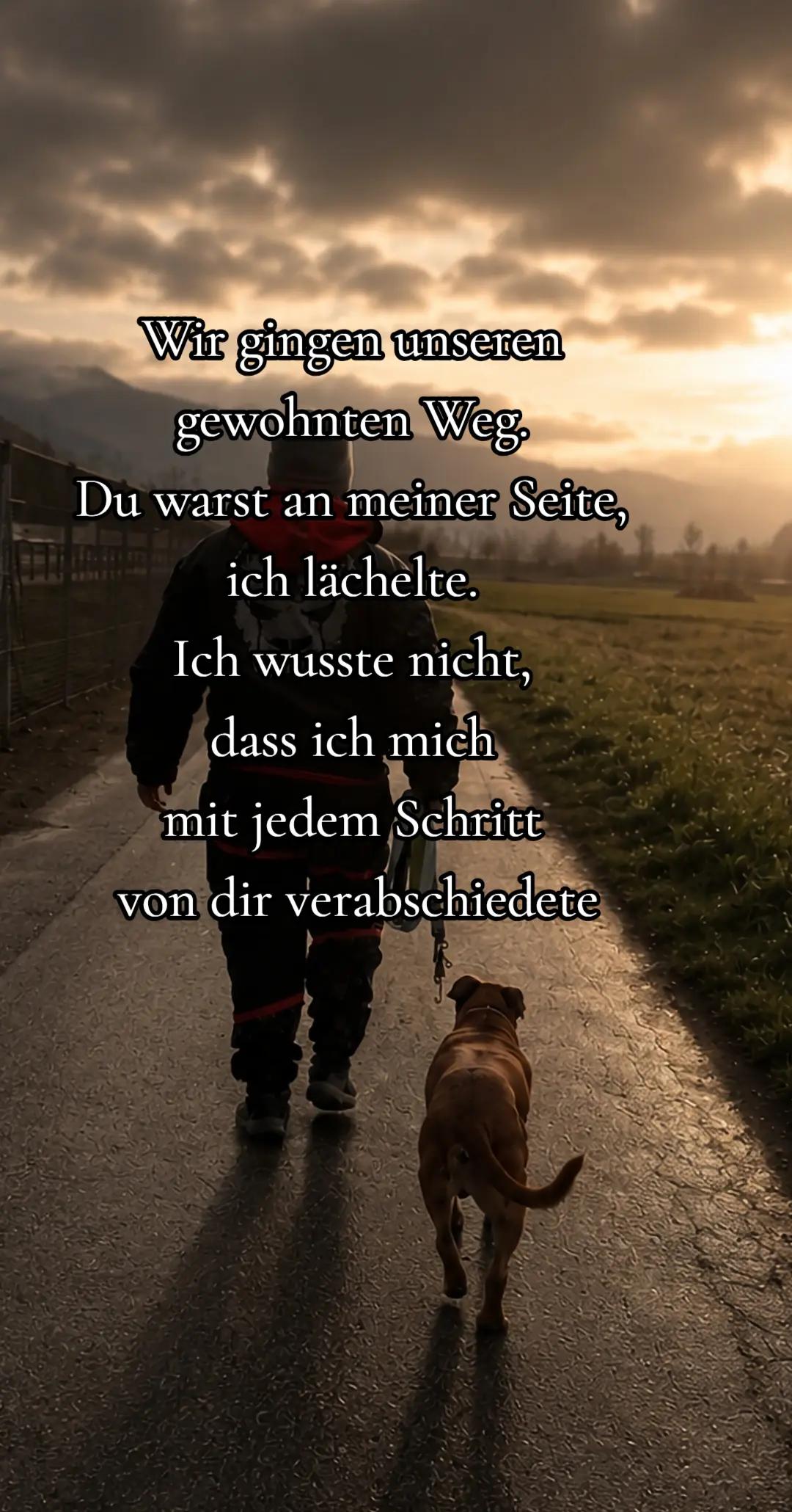 @amstaff0610rotti