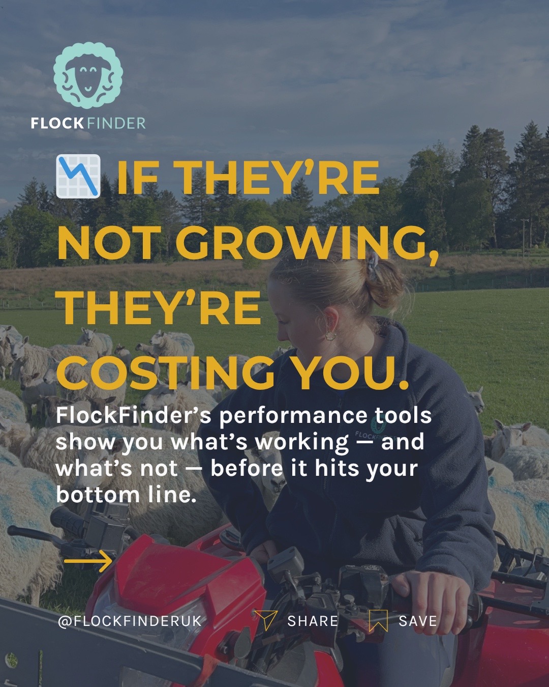 @FlockFinder