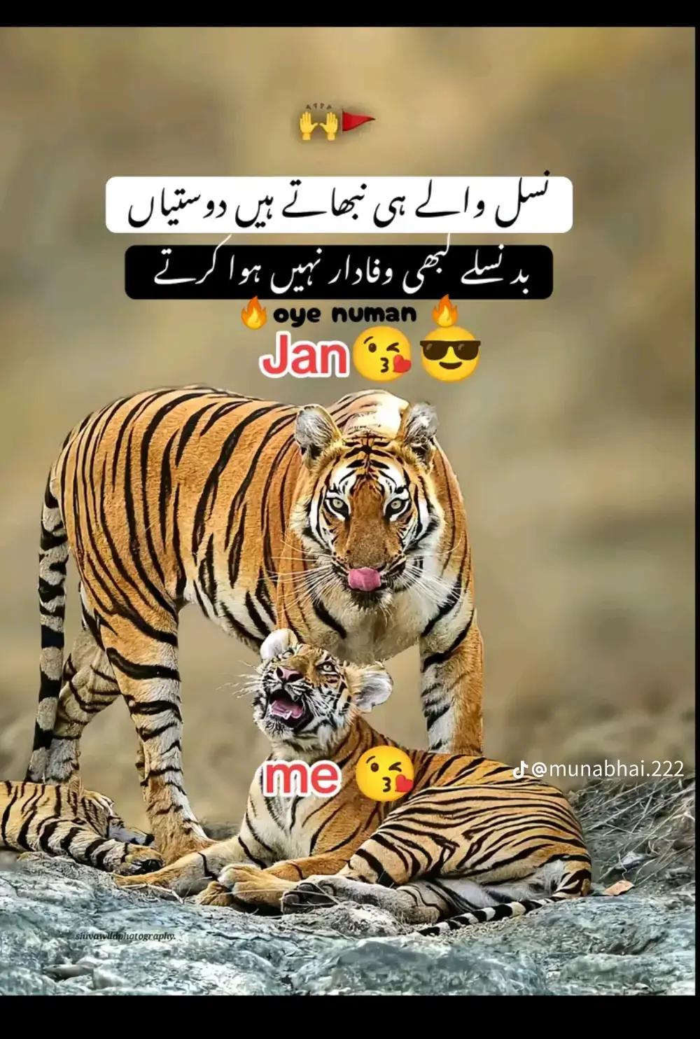 @جگر کا ٹکڑا اپنا یار 🫀