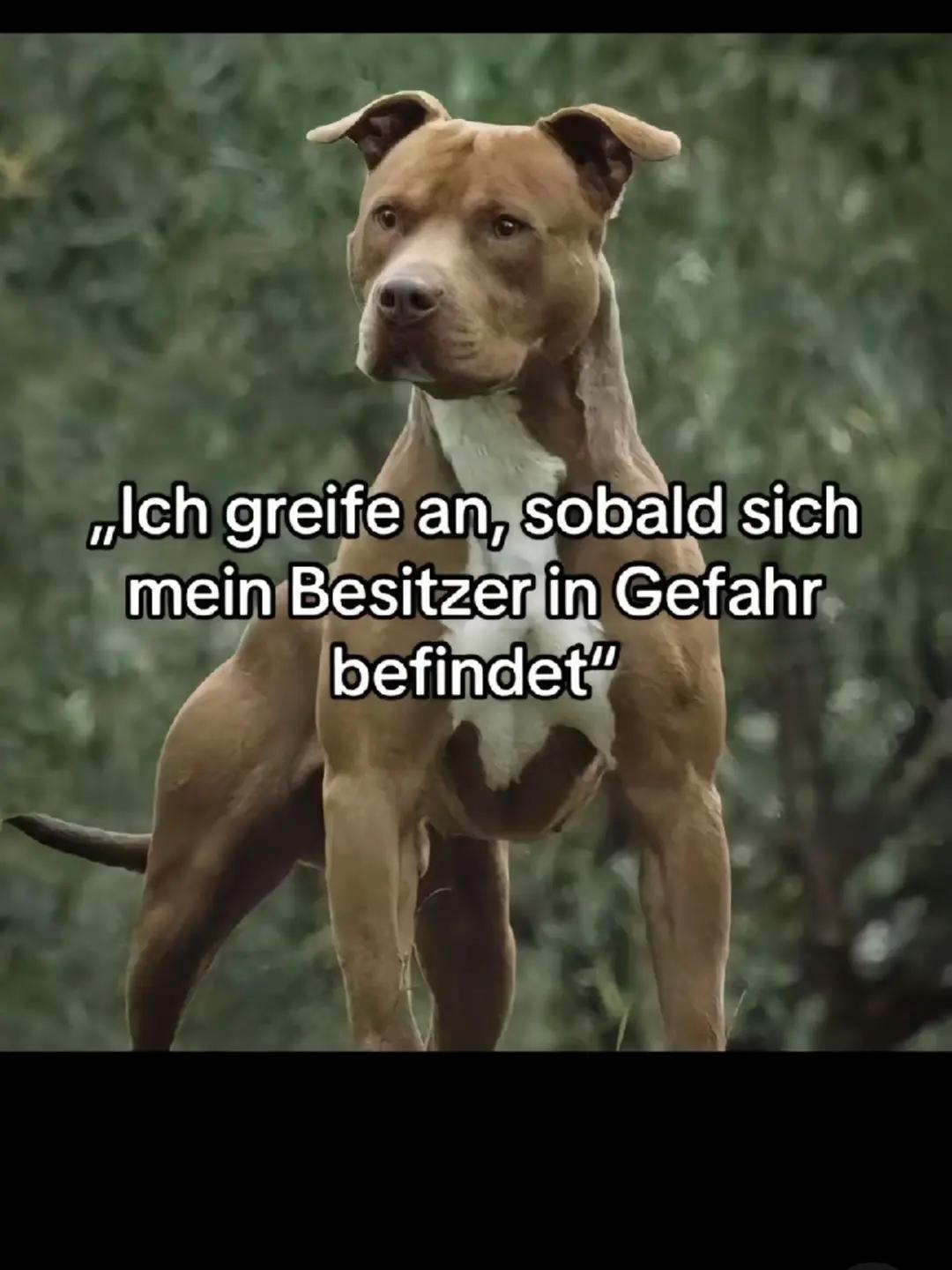 @Real_Talk