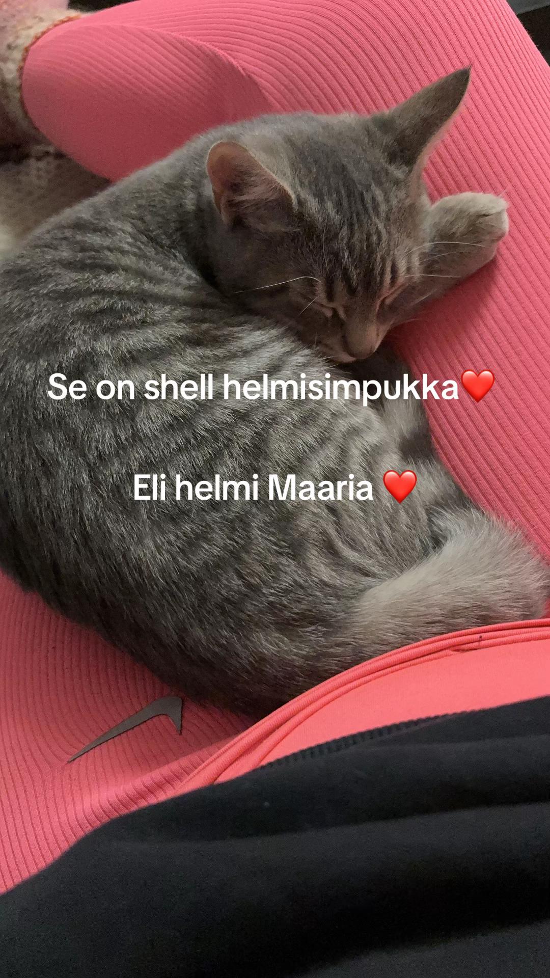 @Piparinainen