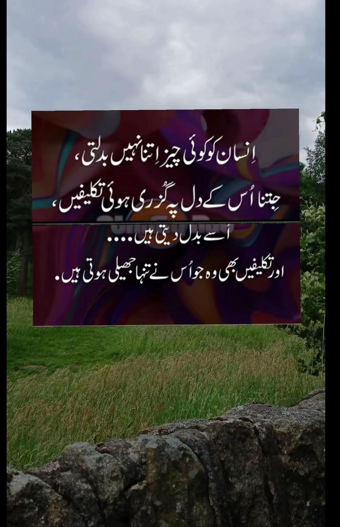 @Api ji UK 786 ❤️❤️🇬🇧🇵🇰