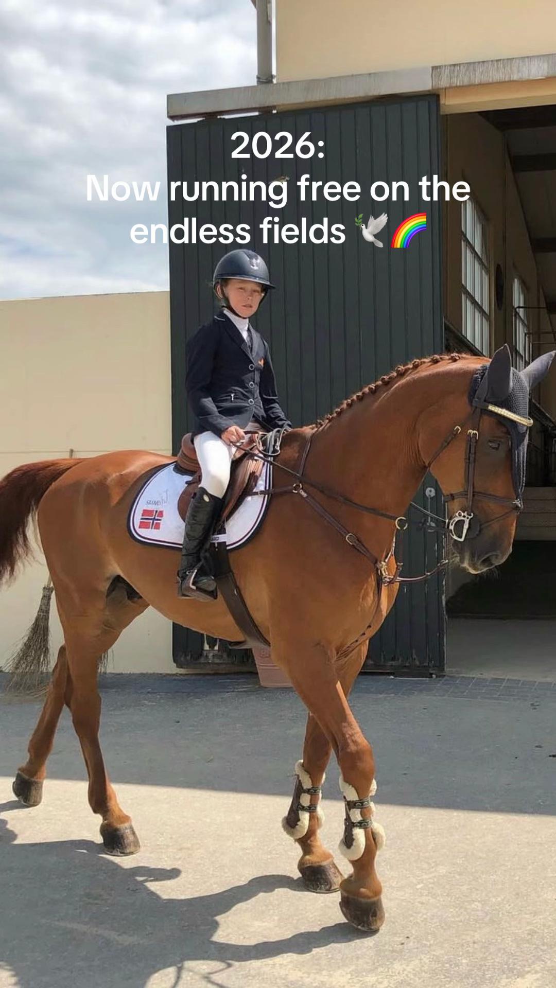 @Siri.Endresen