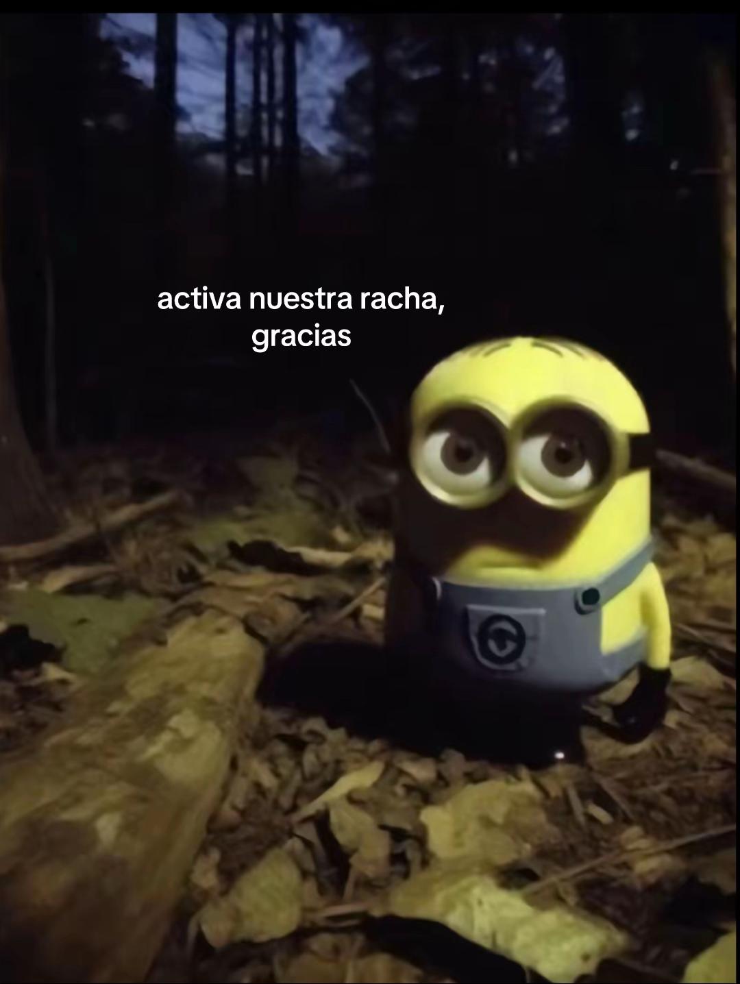 @activalarachaya0