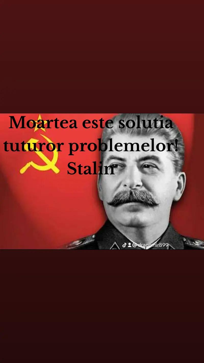 @Dragomir899