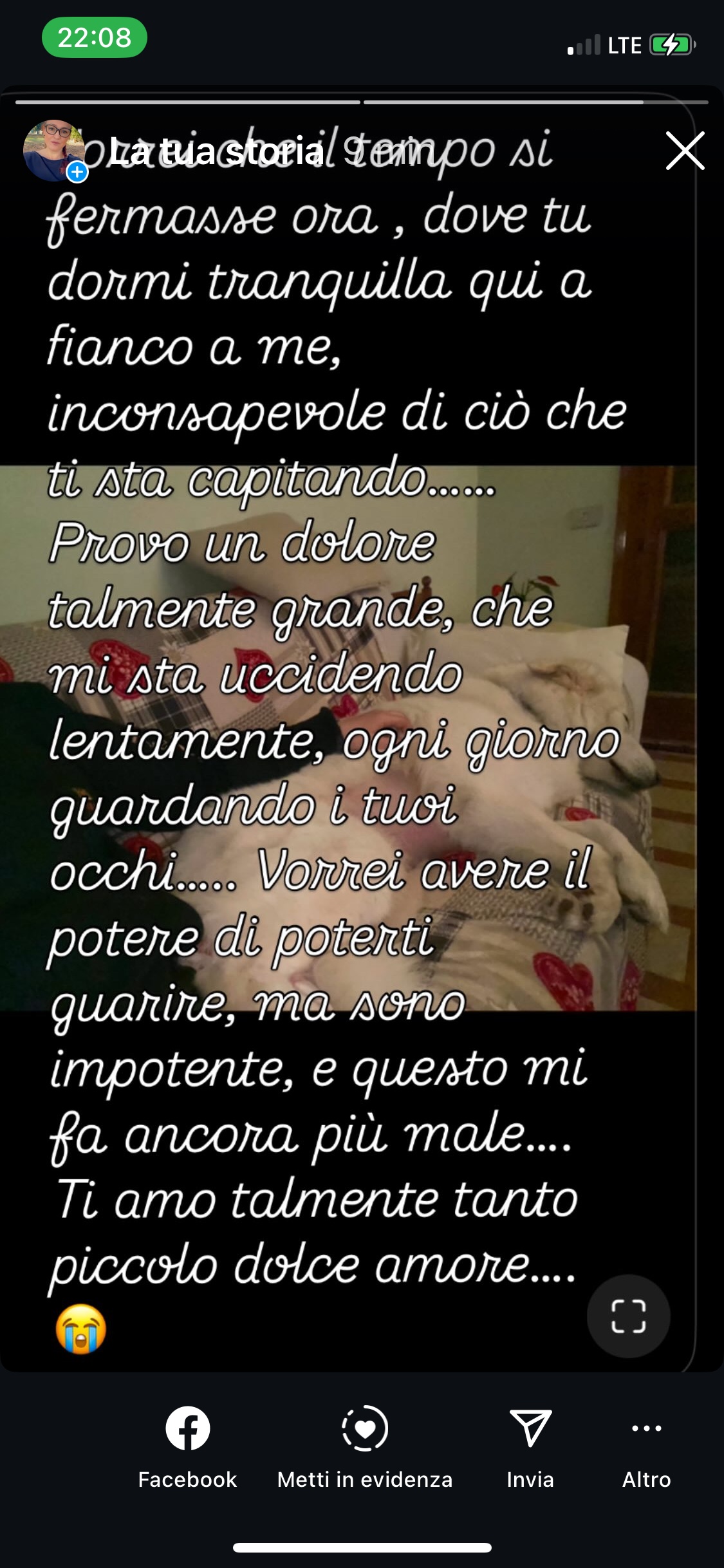 @Federica Cassanelli