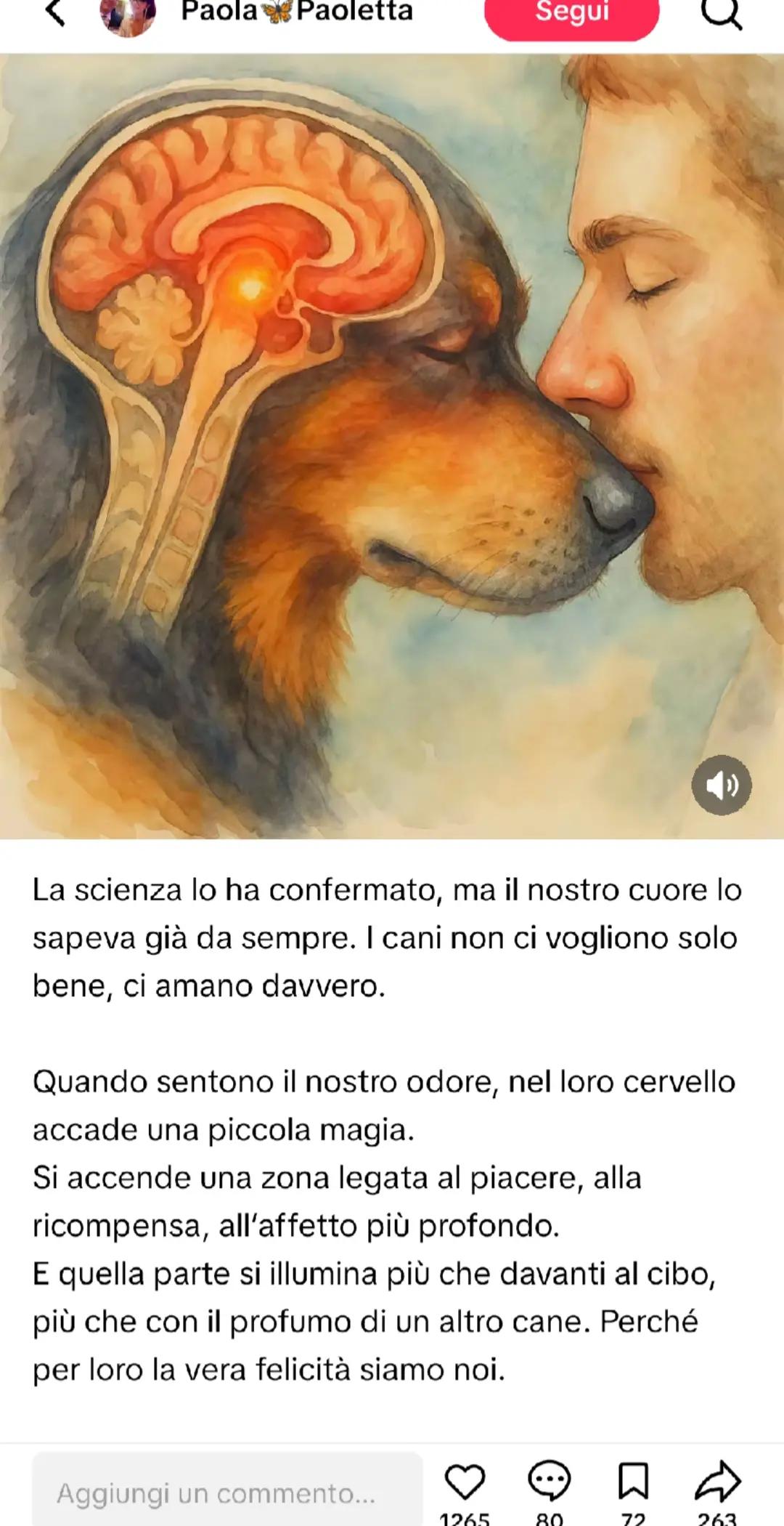 @Cristina Capuci