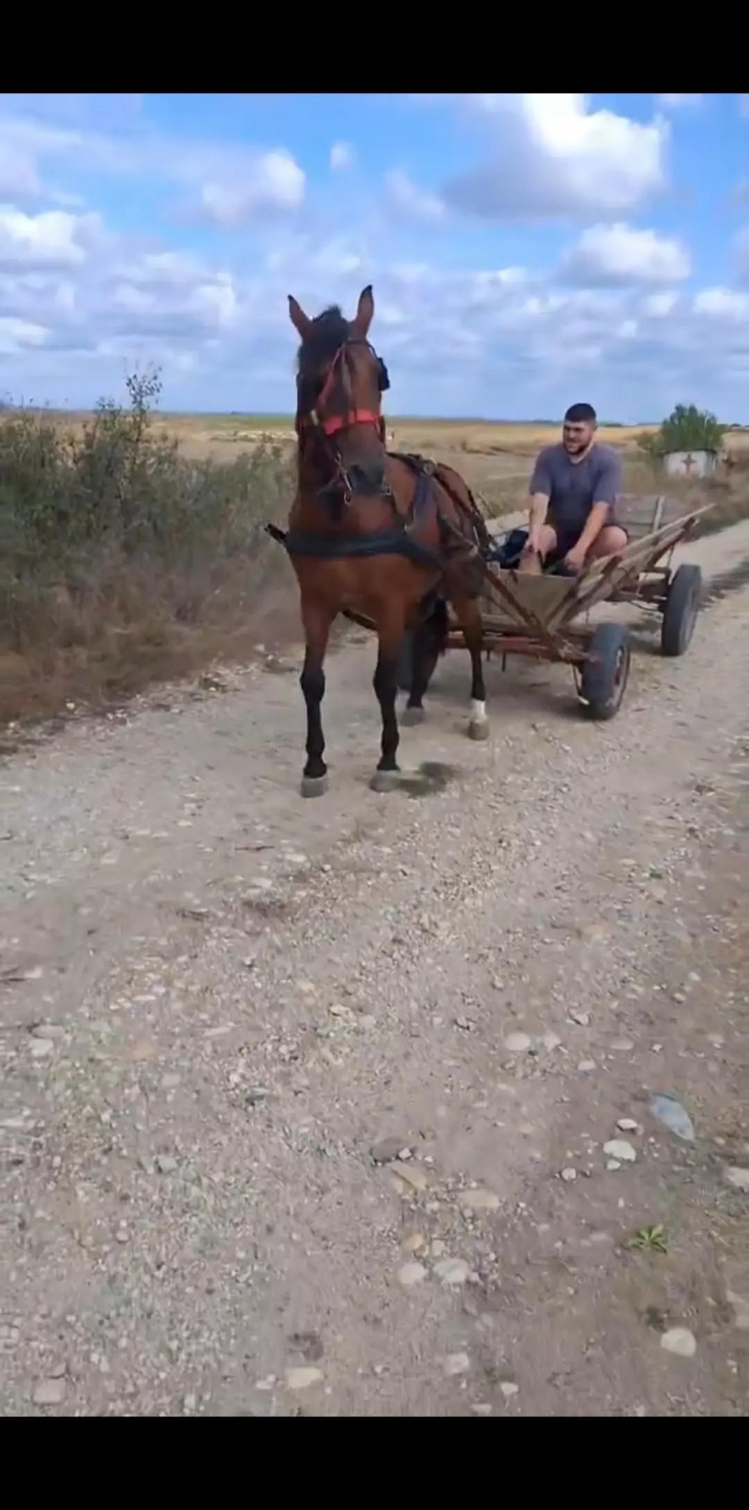 @Ștefăniță Oprea