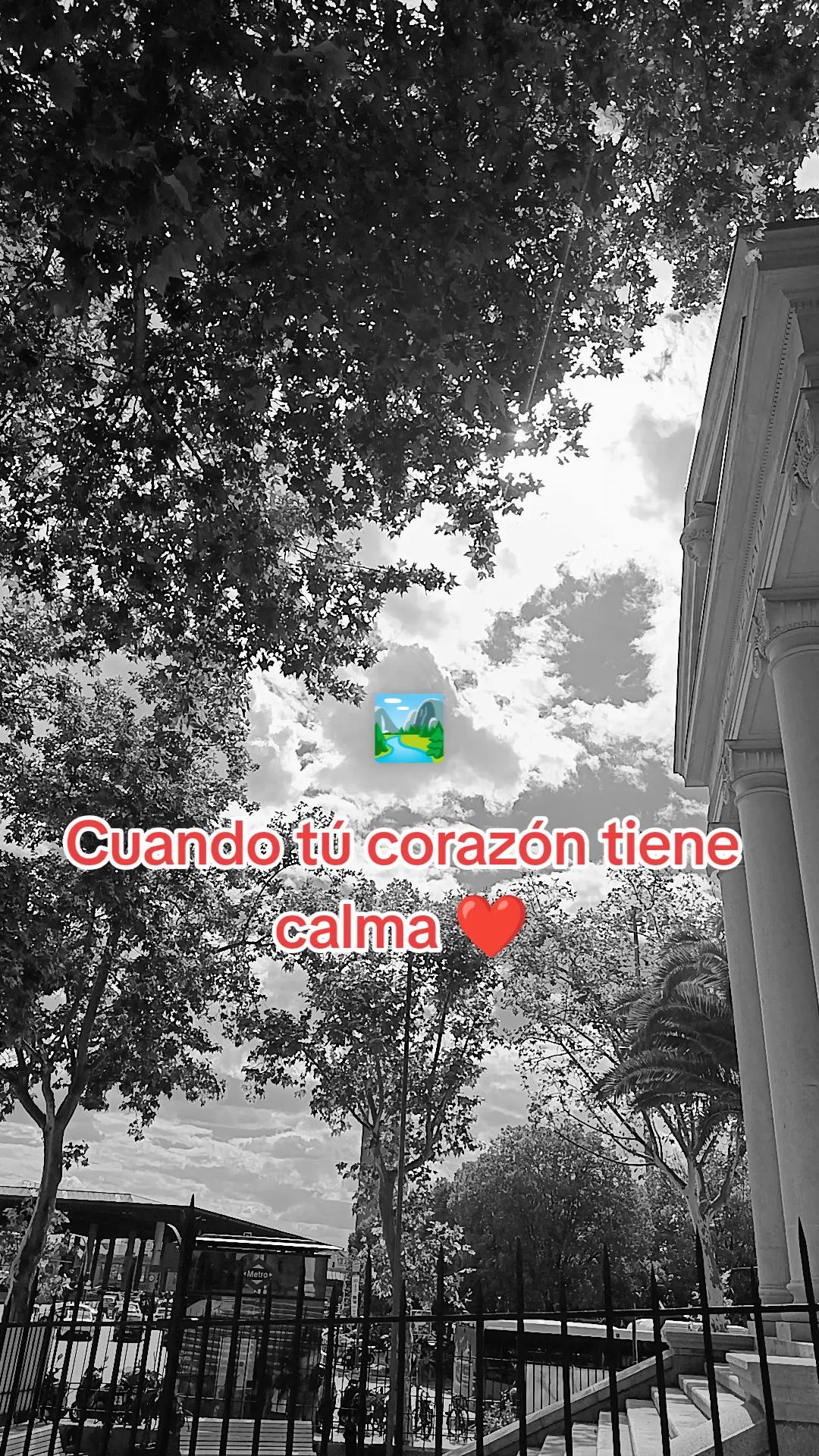 @ROSSMERY