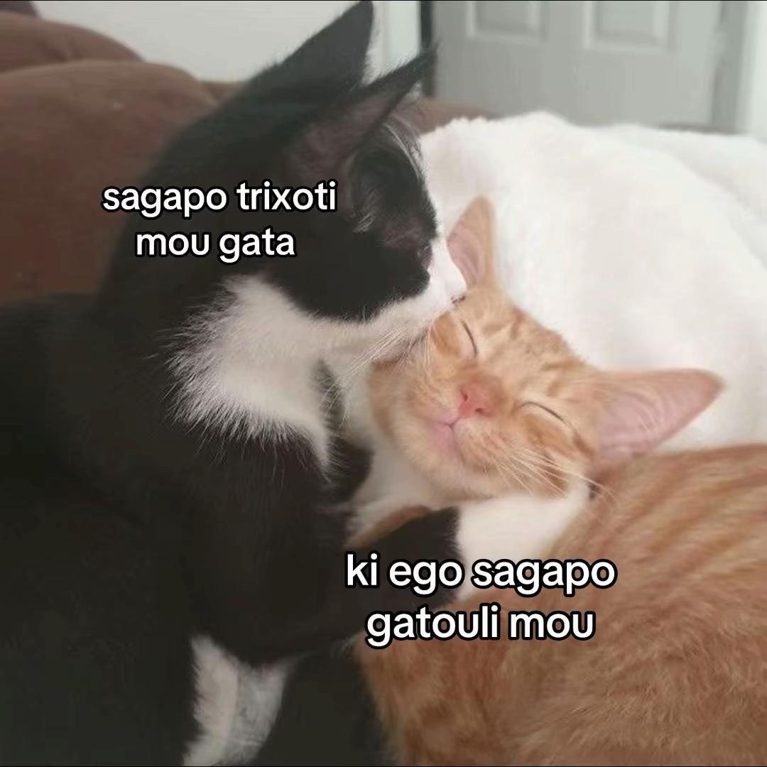 @👤