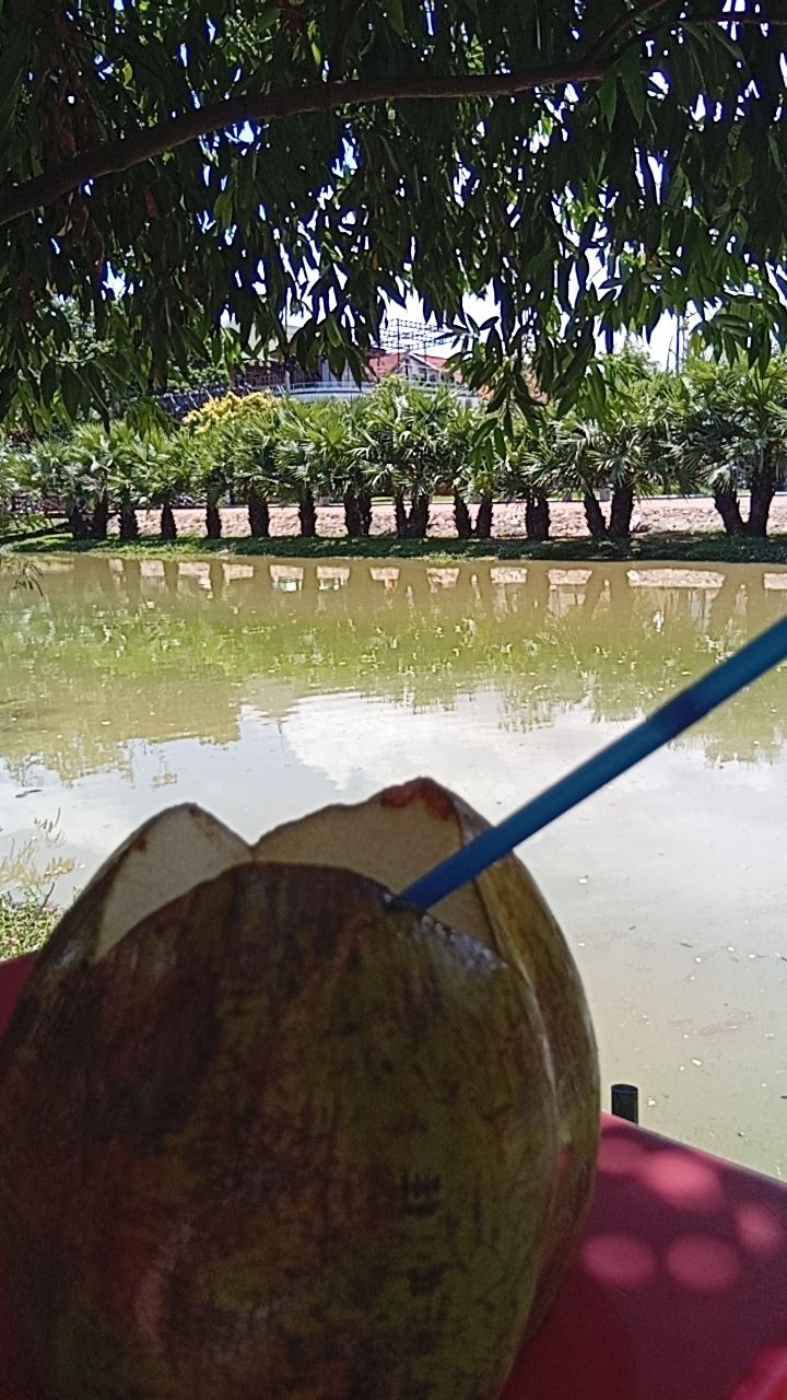 @wanderingheartsasia
