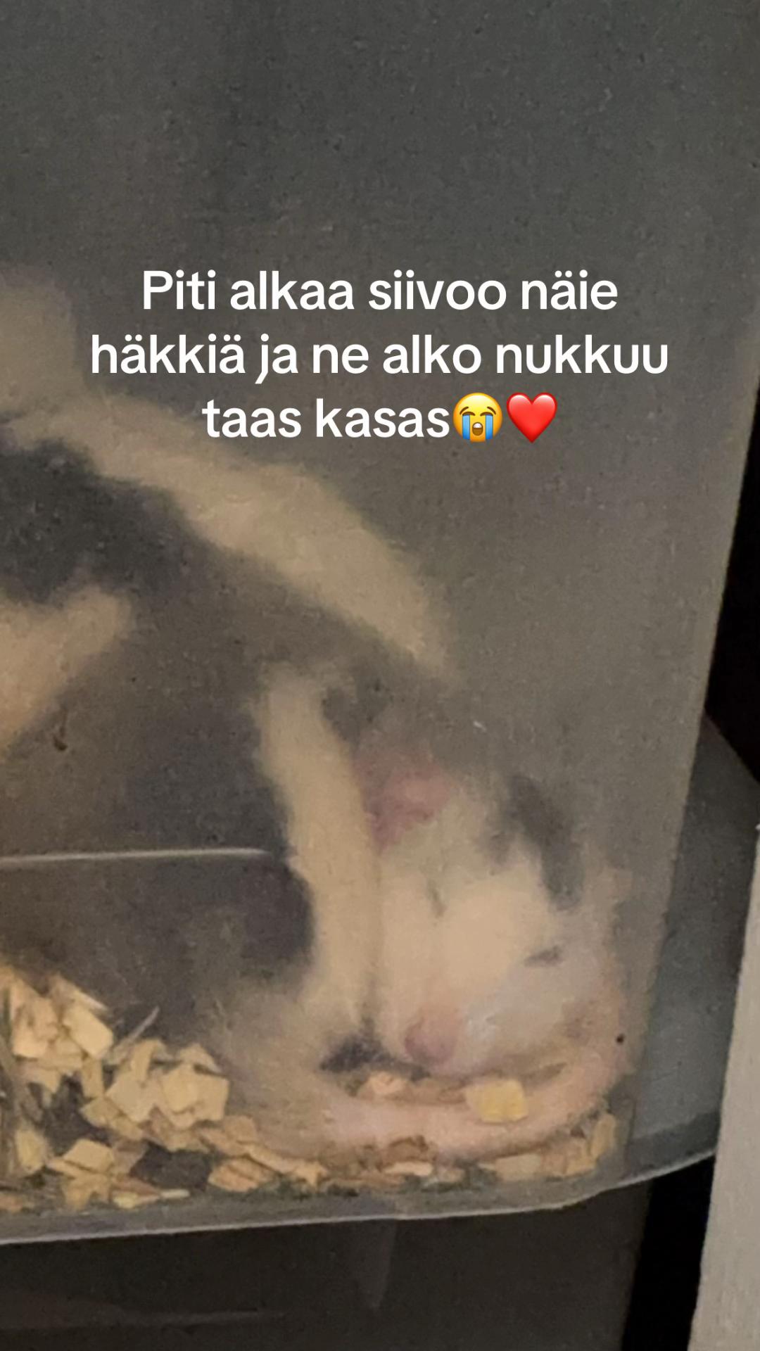 @♓️ENRIIKKA