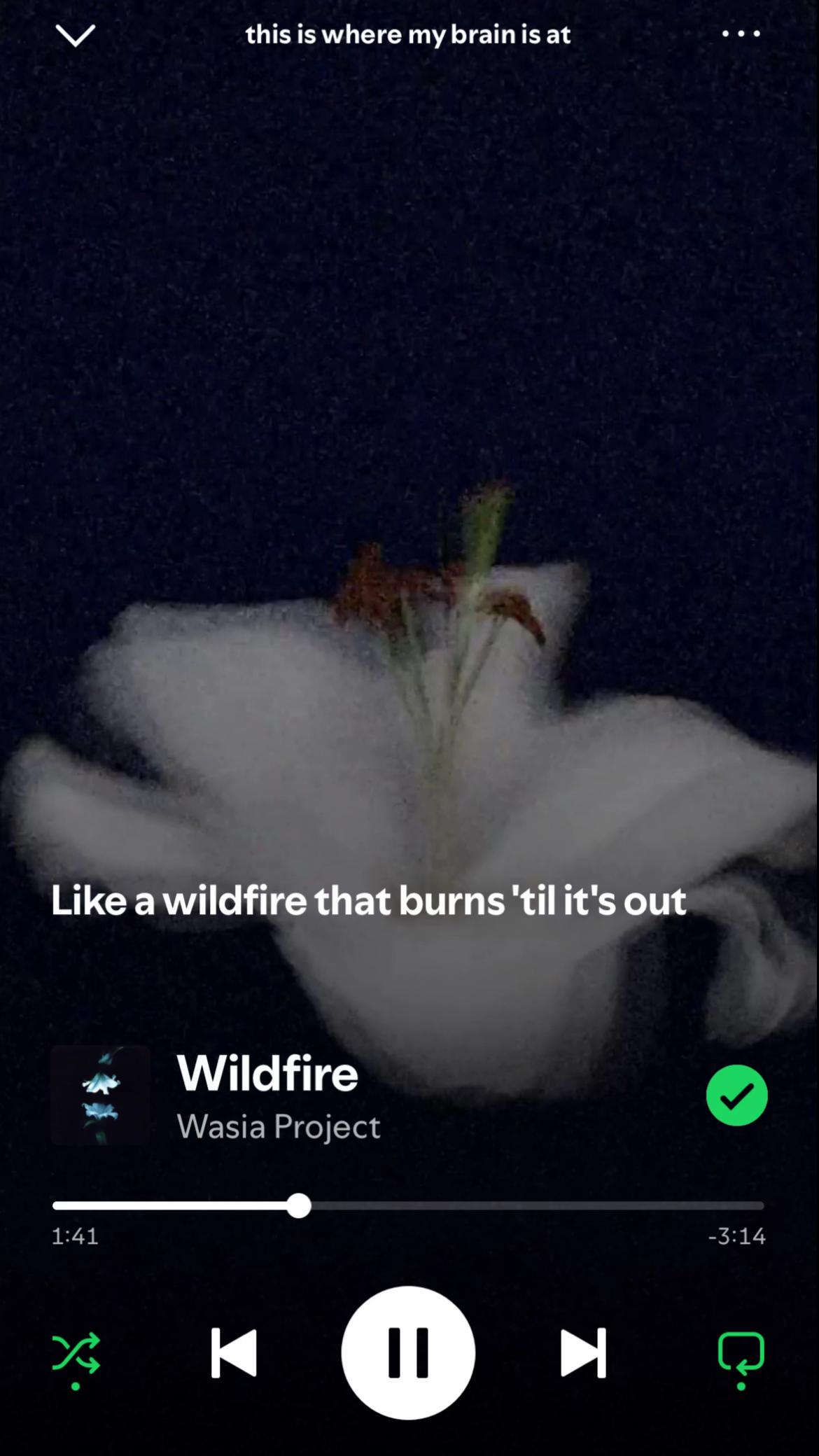 @alex 𑣲𝄞
