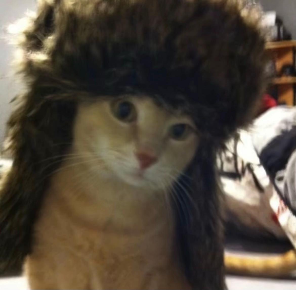 @WogMeowl